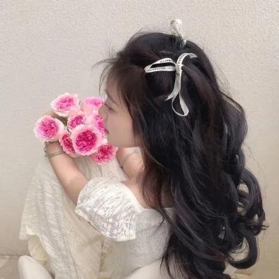 宝藏寻踪